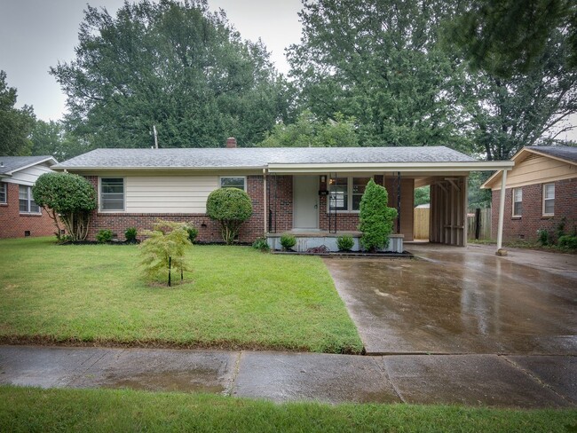 Primary Photo - Beautiful renovation! 3bd 2 bath home in Sea Isle!