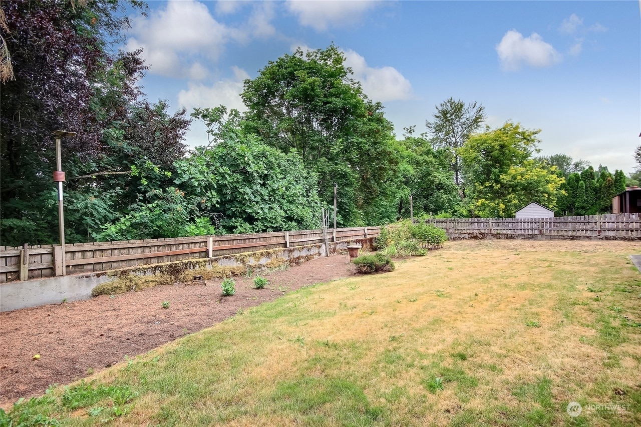 Backyard - 3527 Shattuck Ave S