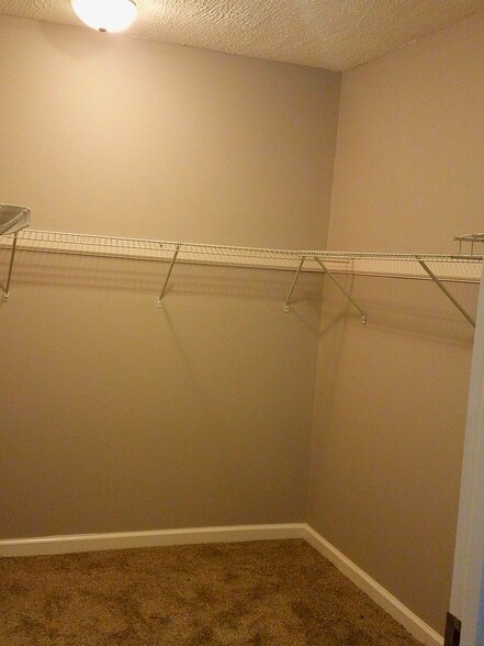 Master Walk in Closet - 317 Burnett Station Rd
