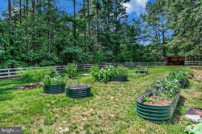 Building Photo - 8 Wilderness Ct