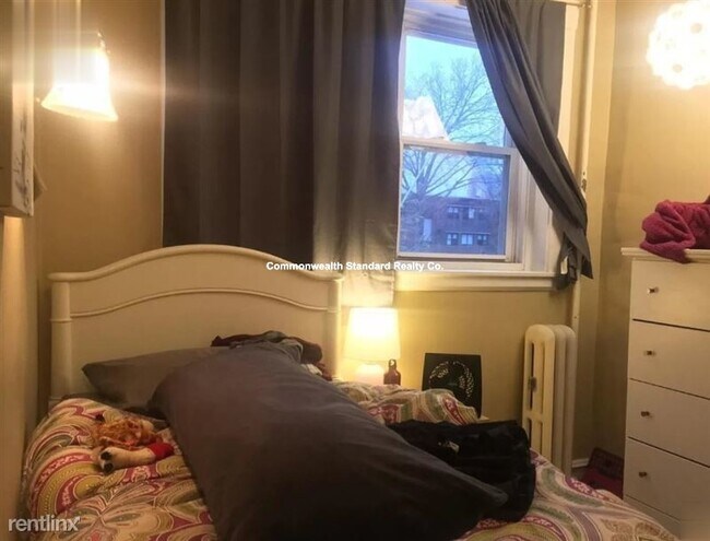 Building Photo - 56 Egmont St