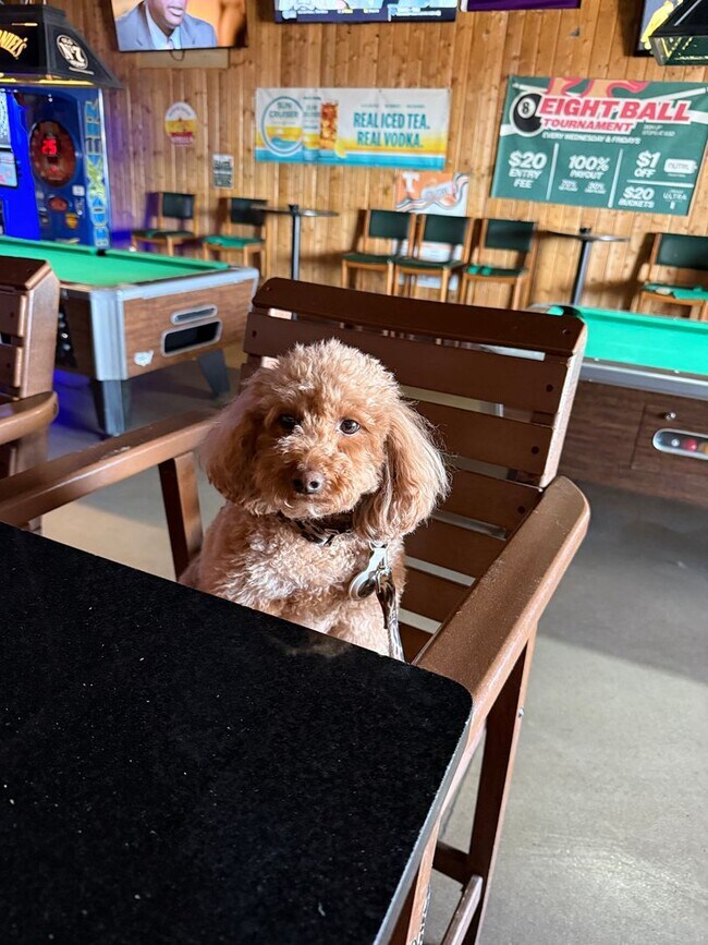 Building Photo - Nice two bedroom condo on one level in Hermitage