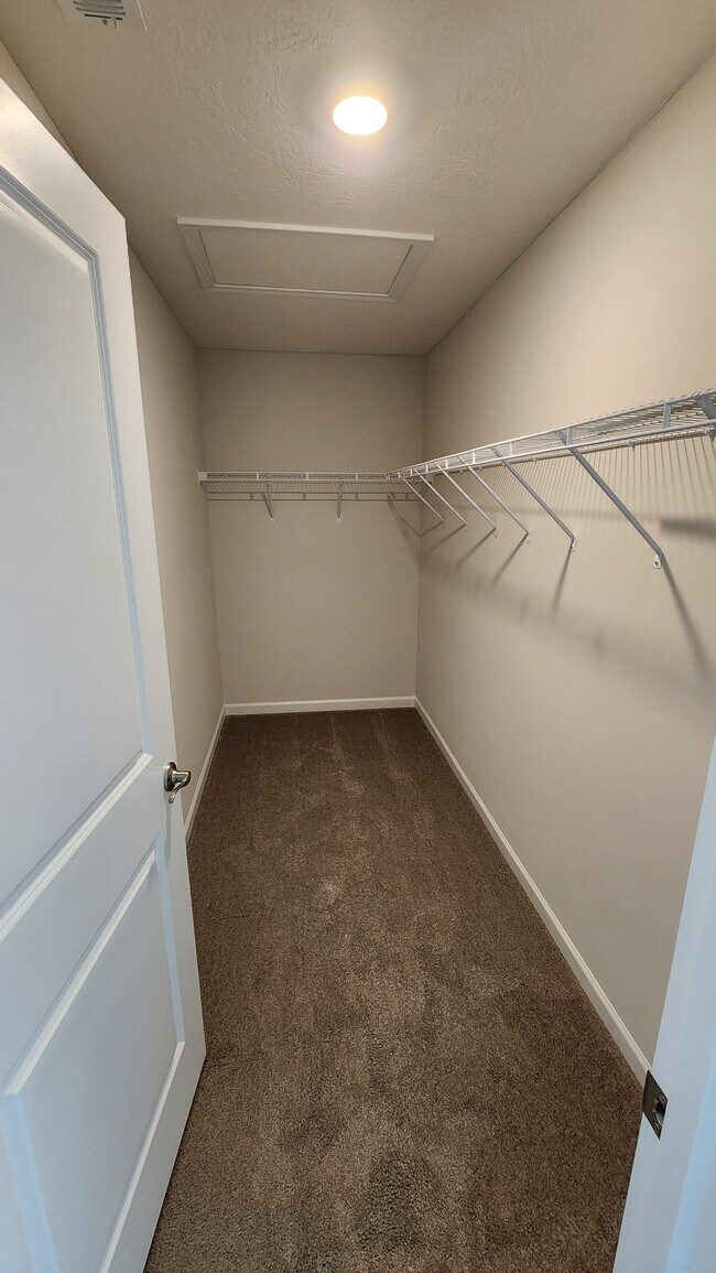 Building Photo - 61 Snapdragon Dr