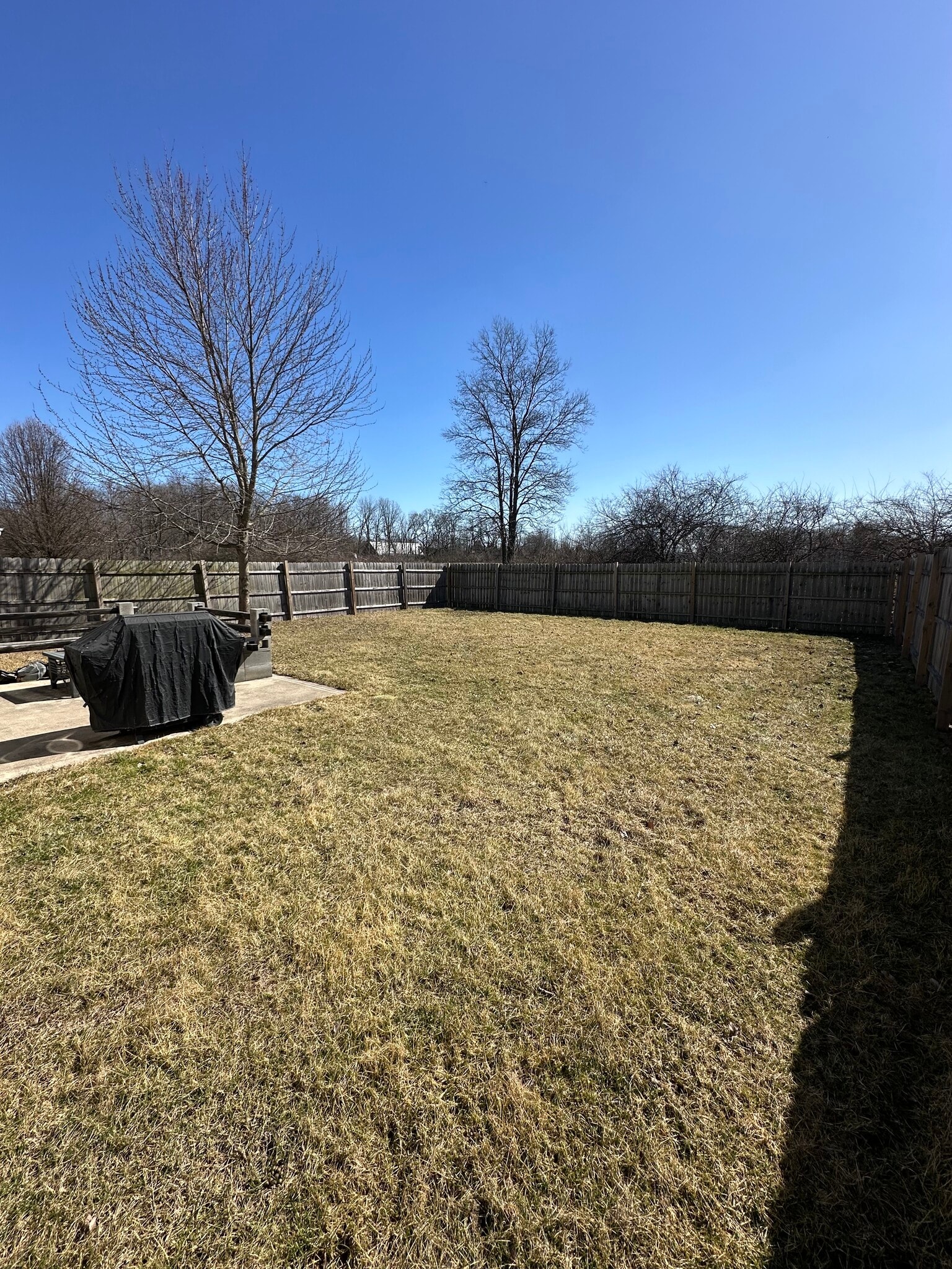 Fenced Backyard 2 - 411 Treeline Cv