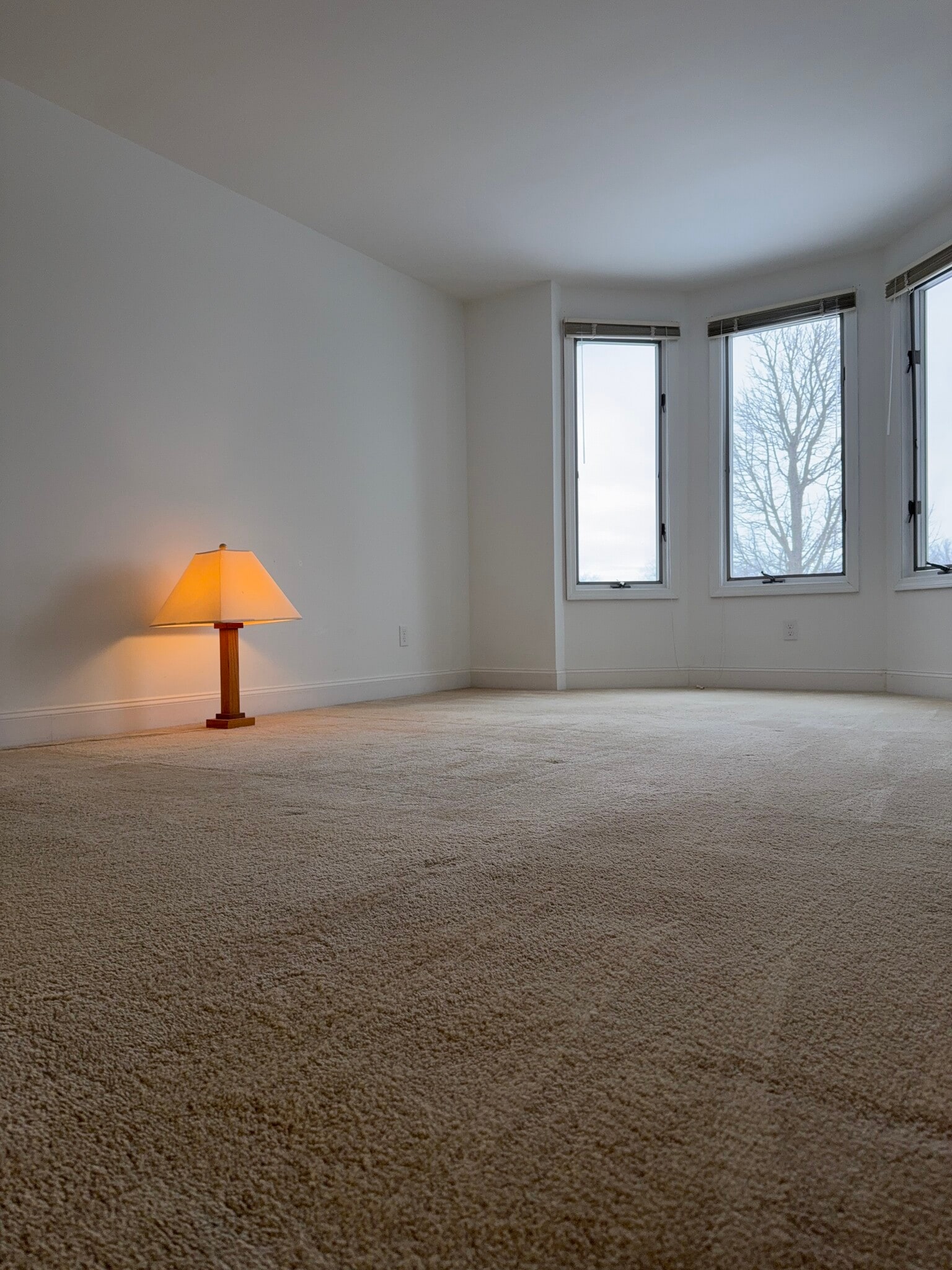 Building Photo - 140 Niagara Shore Dr