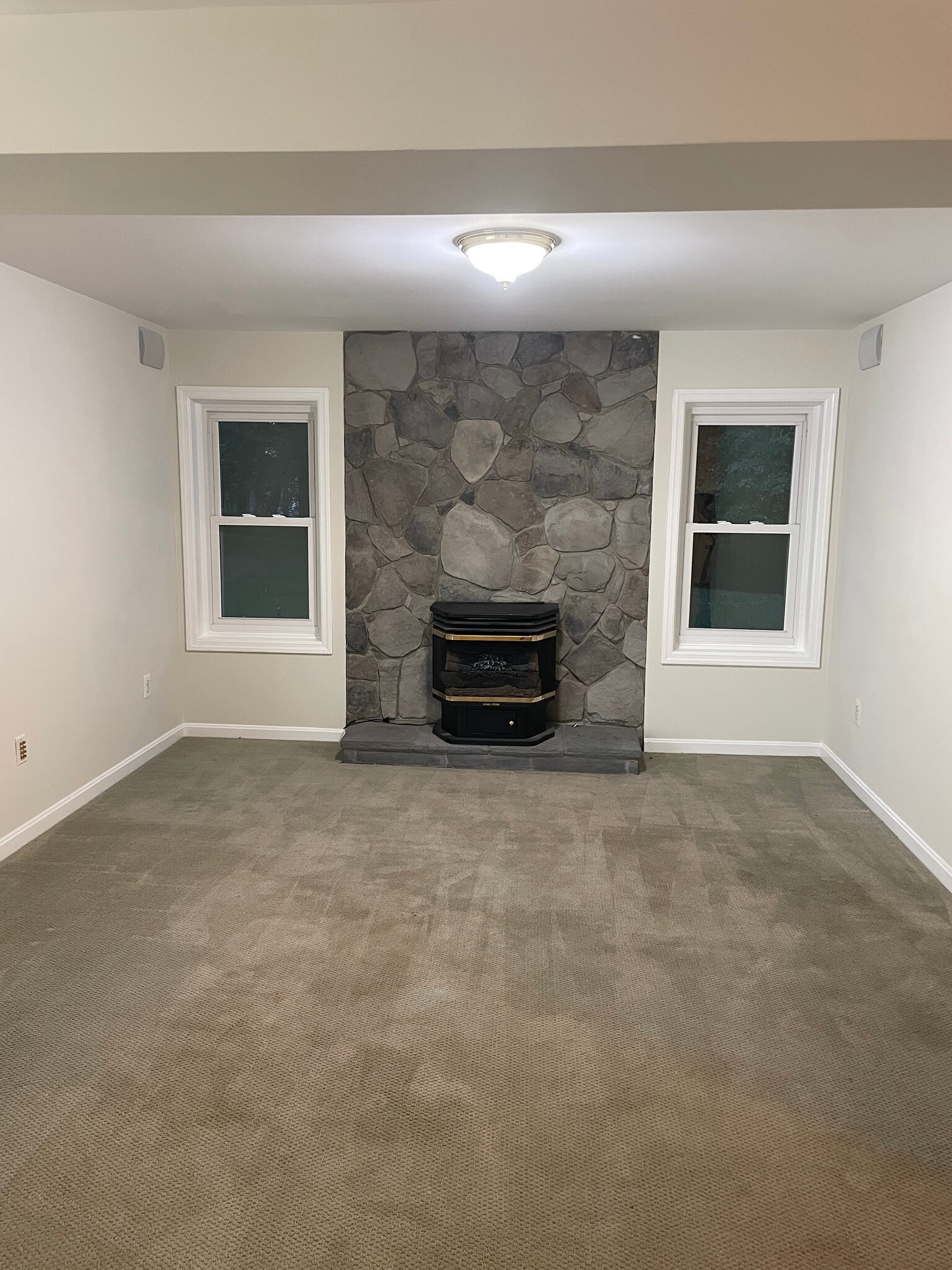 living room - 249 Amberleigh Dr