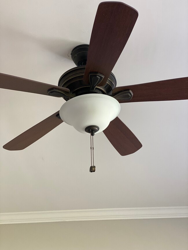 Building Photo - 261 Deltona Blvd