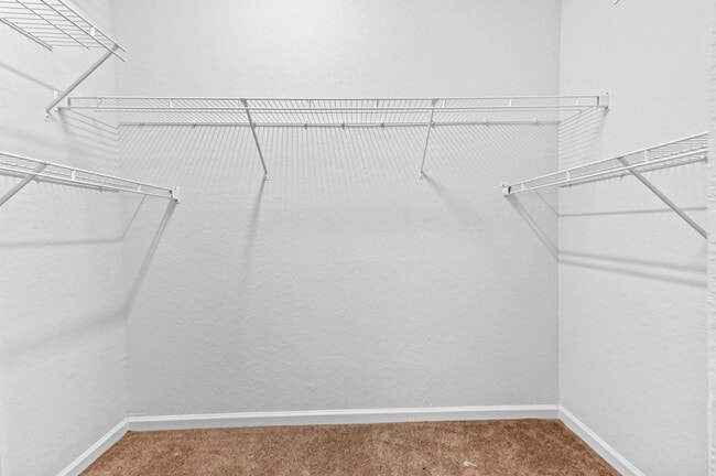 Building Photo - 6823 Fabiano Cir