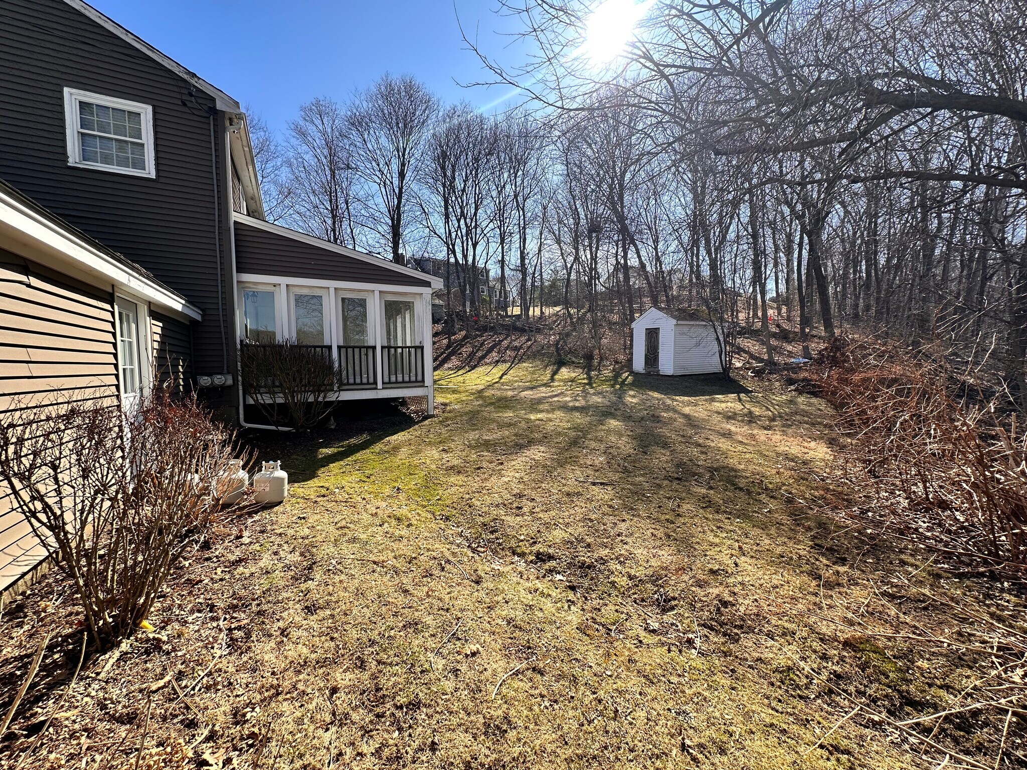 Backyard - 53 Edinboro St