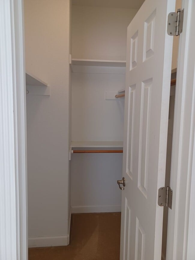 Building Photo - Spacious 4 Bedroom in Chics Beach