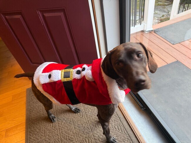 Building Photo - Free application fees until Friday is our gift to you!