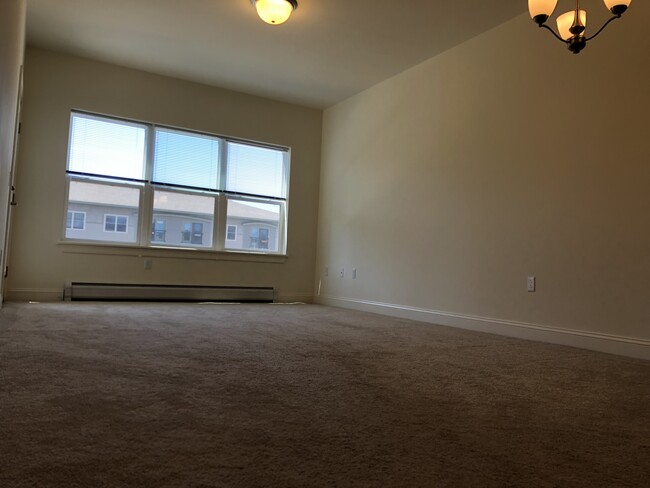 Living room - 20 Carmichael St