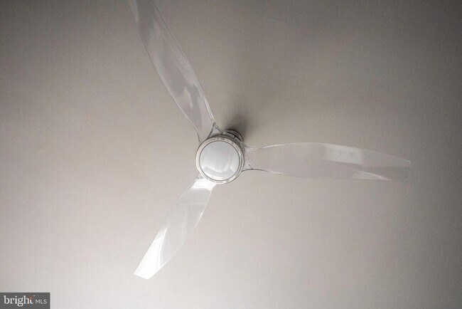 Building Photo - 822 S Royal St