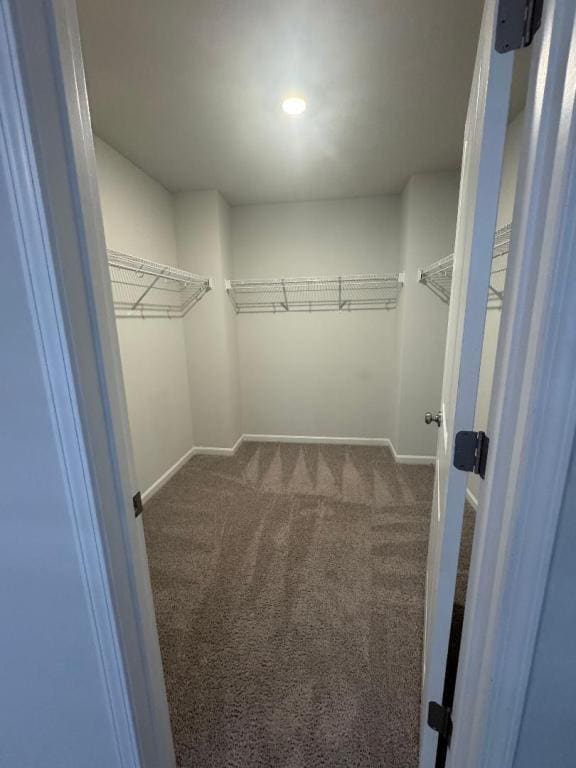 Building Photo - 873 Agostino Dr