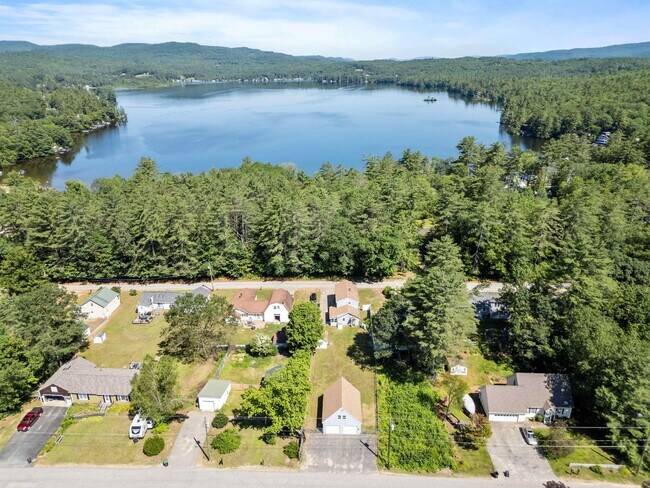 Building Photo - 36 Lark St