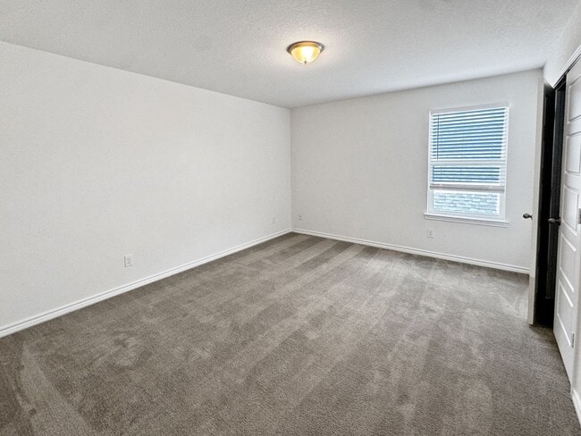 Building Photo - New Braunfels gem