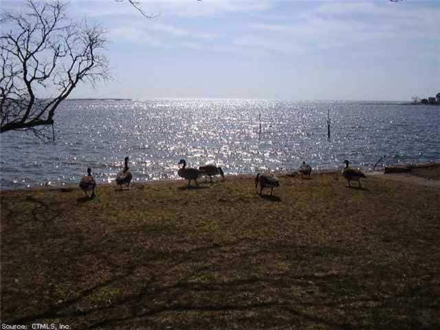 Building Photo - 207 Linden Ave