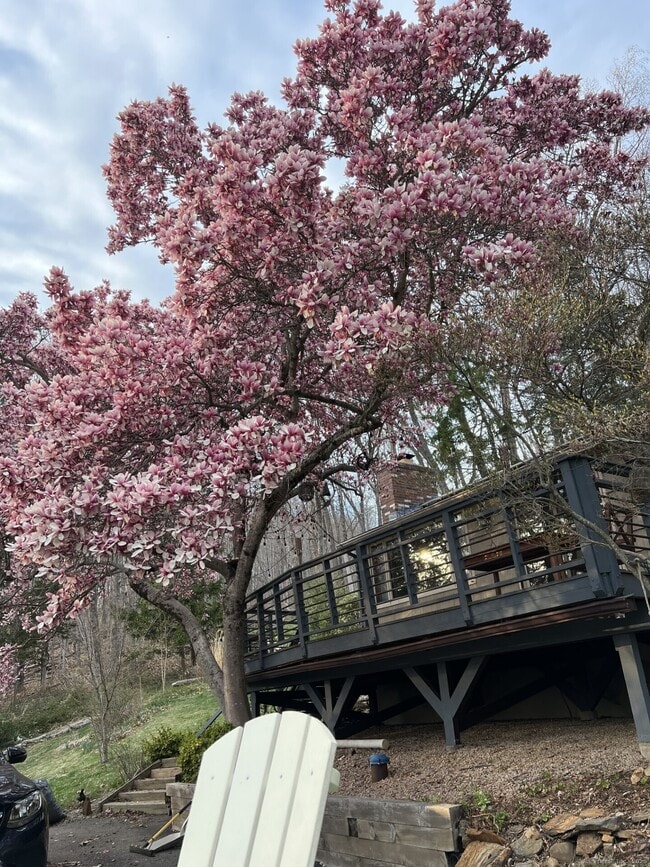 Building Photo - 106 Injun Hollow Rd