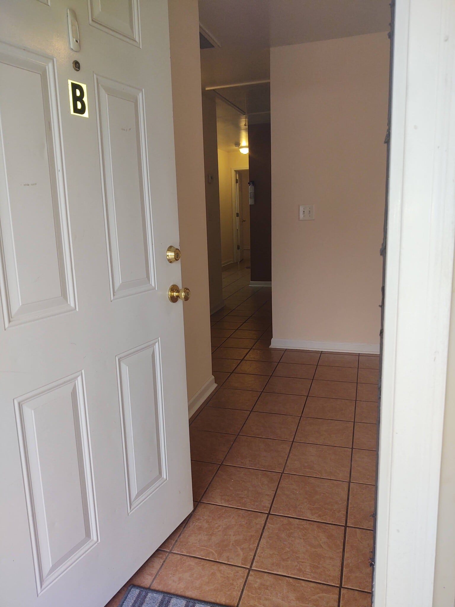 View to back of apartment - 247 Hereford Cir