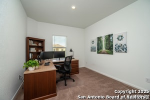 Building Photo - 31815 Christmas Rose