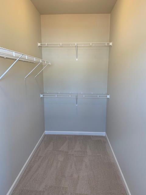 Building Photo - 316 Marlowe Aly