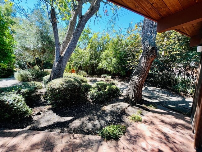 Building Photo - Stunning 4 Bed 2 Bath Eichler near Midtown...