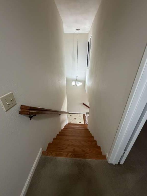 Building Photo - 4709 Malero Pl