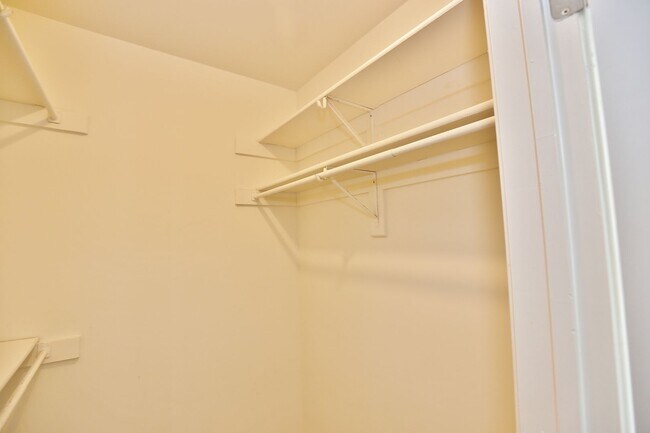 Building Photo - 1519 Sword Dancer Dr
