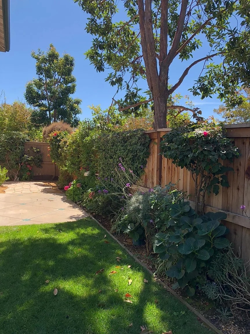 Backyard - 5 Pioneer Ct