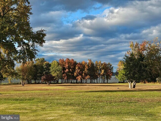 Building Photo - 82 Basin Rd