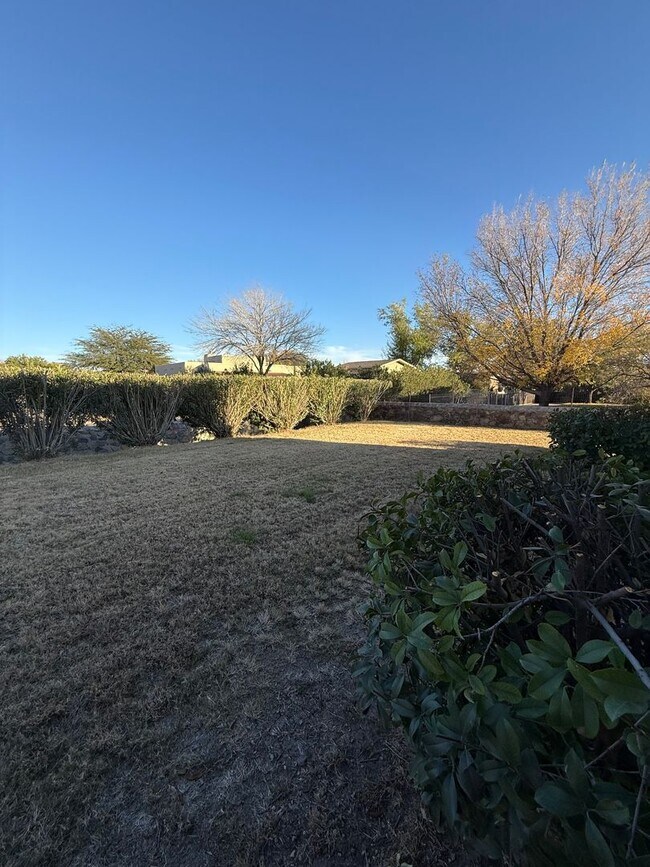 Building Photo - 3878 Stoneybrook Cir