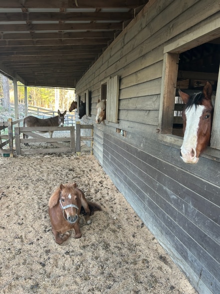 Building Photo - 23 Blackjack Rd