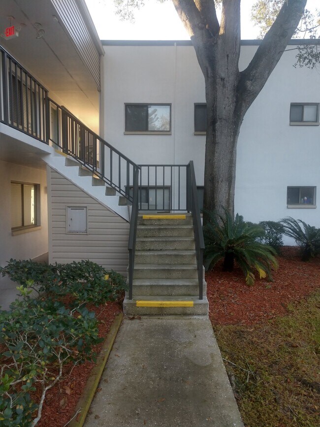 Building Photo - 2 Bedroom/2 Bath Palm Harbor Condo