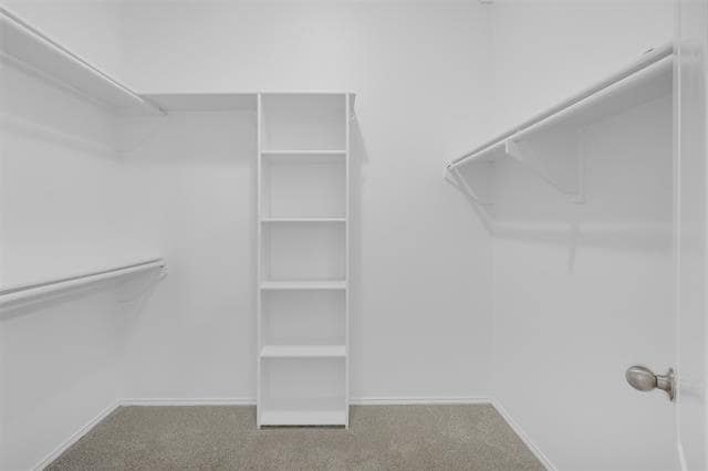 Building Photo - 8345 Winter Falls Tr