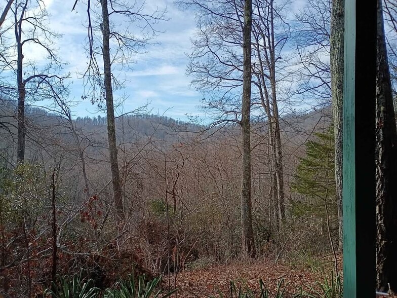 Building Photo - 6264 Bearwallow Mountain Rd