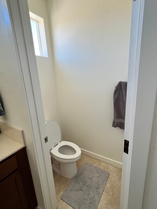 Master Bathroom - 4711 Falcon Rock Ln