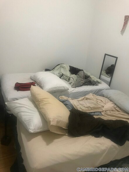 Building Photo - 254 Windsor St