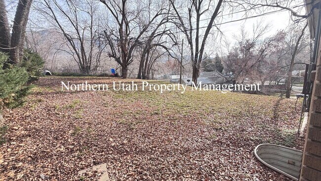 Building Photo - Rooms for Rent