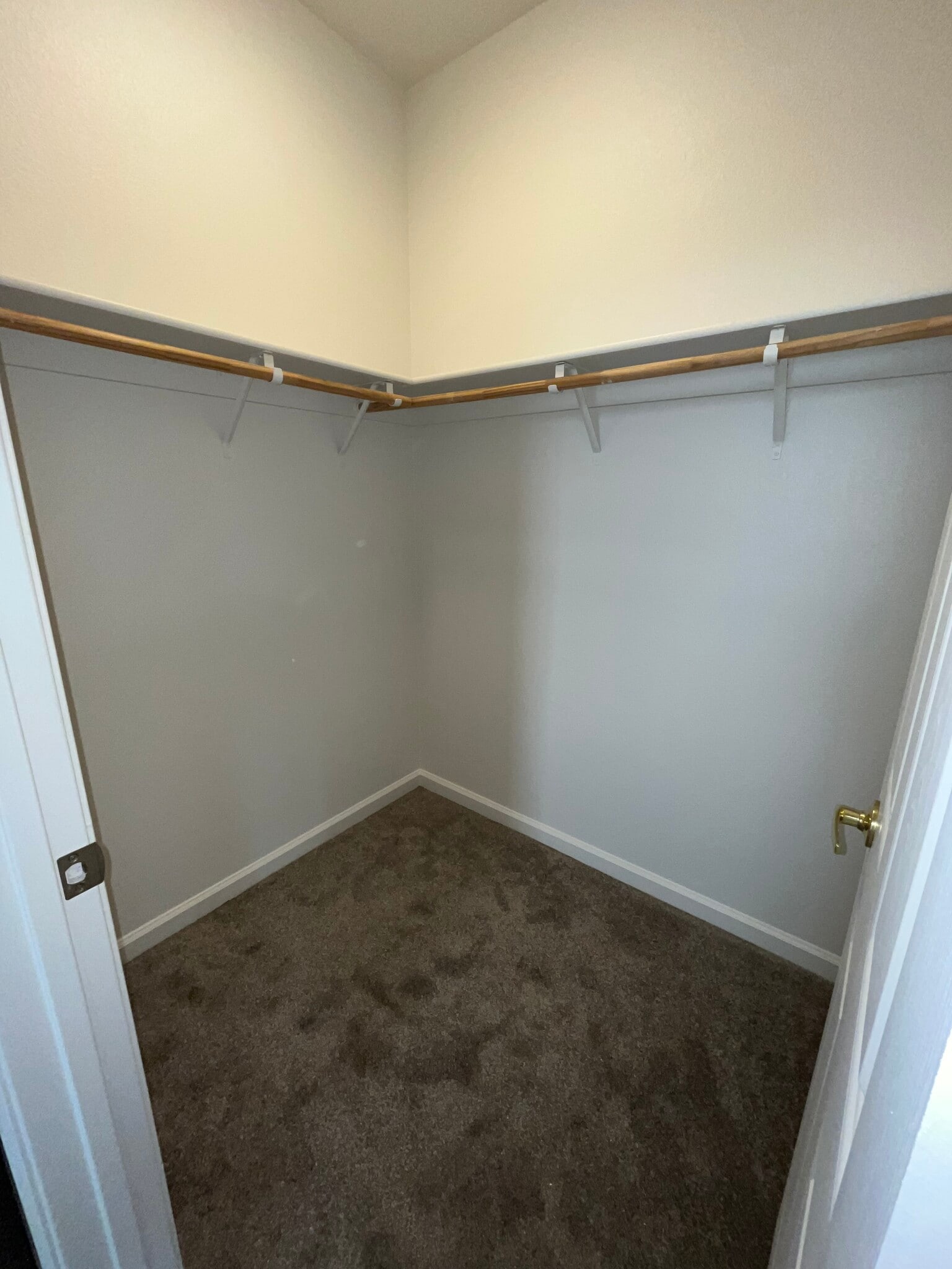 Bedroom 3 closet - 1358 Cadence Way