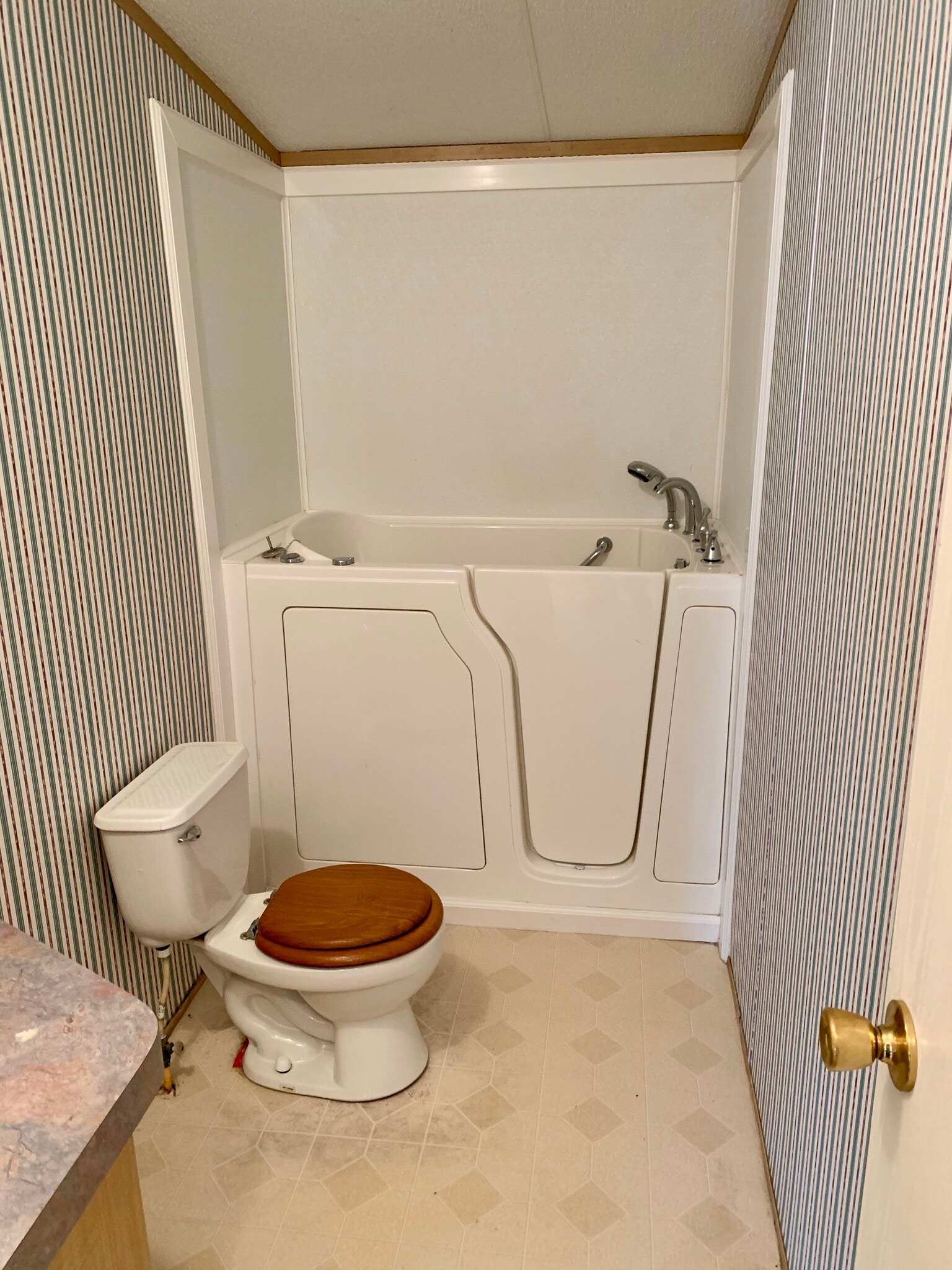 Secondary bathroom with walk-in tub - 709 Blue Stem Dr