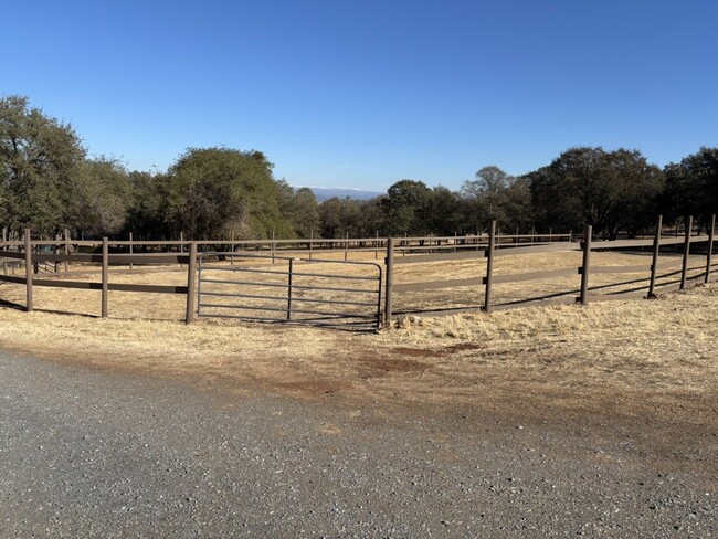 Building Photo - Equestrian property in Pilot Hill!