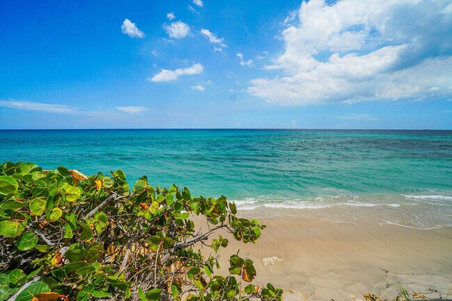 Building Photo - 4000 S Ocean Blvd