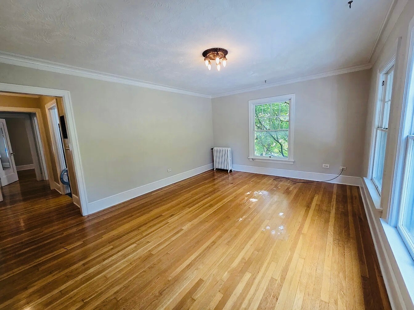 Living room overlooking Wright Park - 720 6th Ave