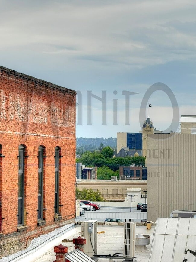 Building Photo - Stunning & Spacious Downtown Condo