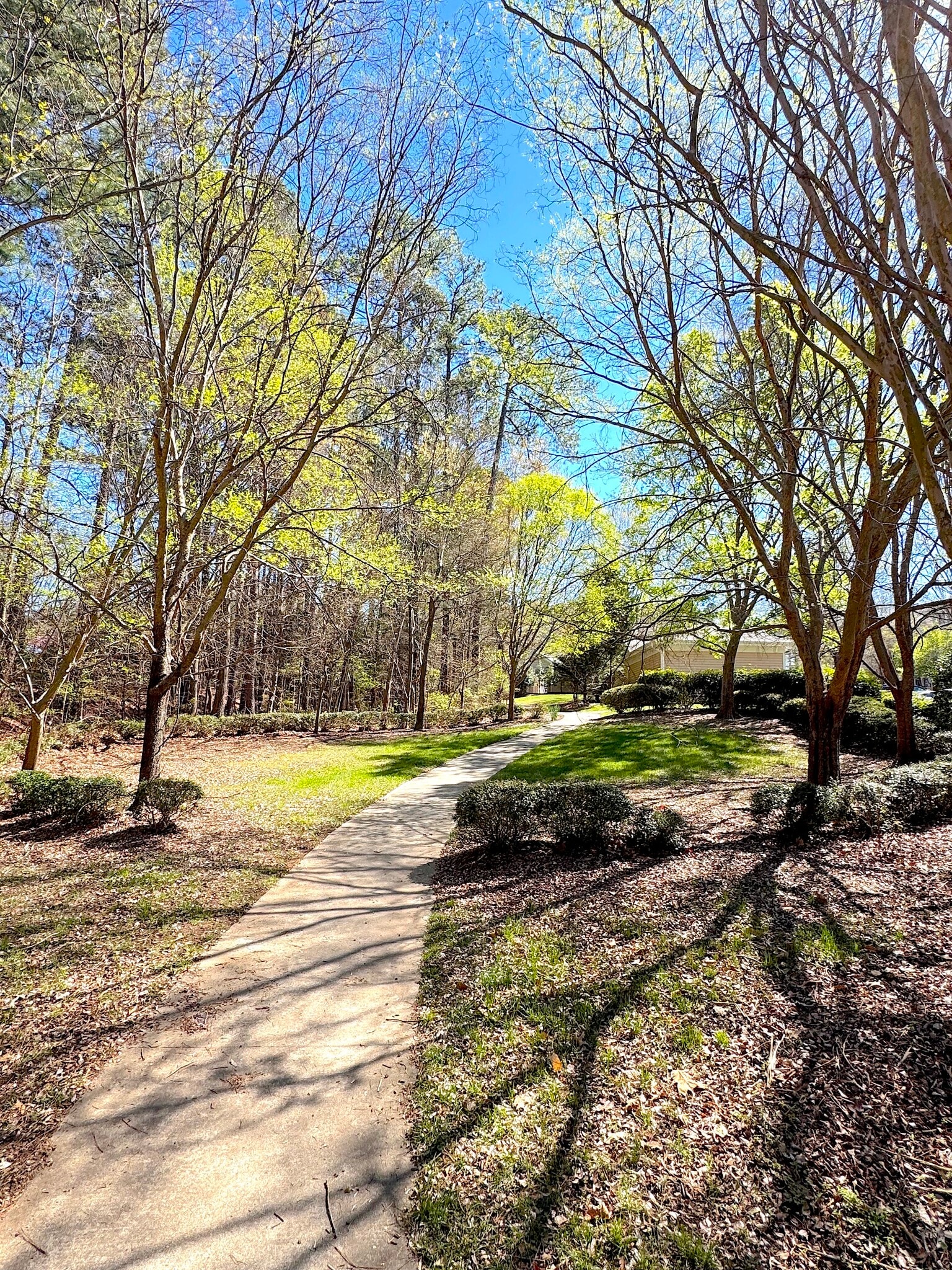 Building Photo - 1331 Arborgate Cir