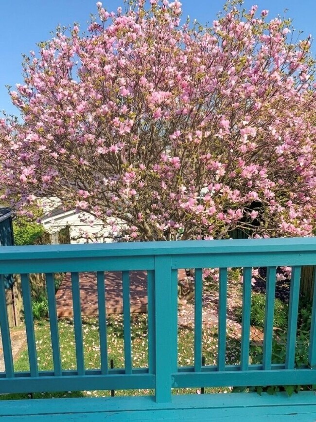 Building Photo - Stunning 3bed/3.5bath Brick Home in Ballard!