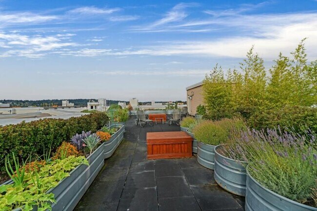 Building Photo - 1 bedroom in Seattle WA 98107