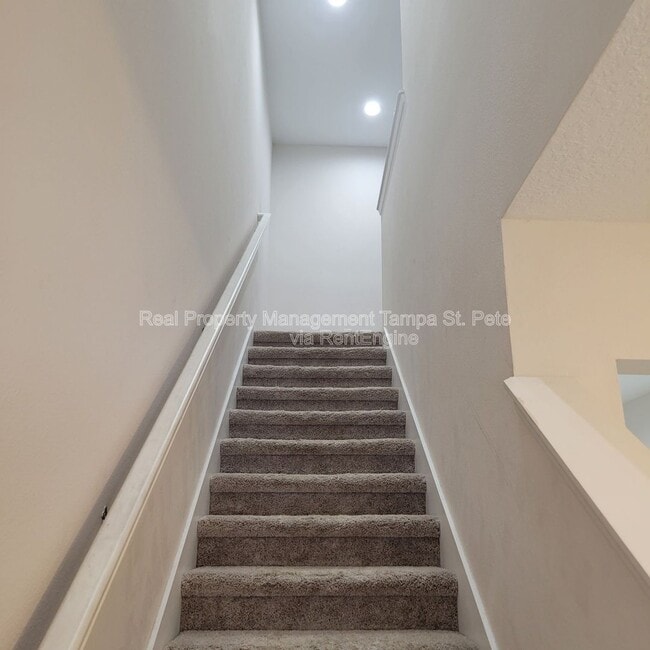 Building Photo - 6409 Tillandsia Pl