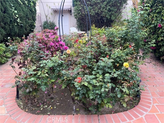 Building Photo - 135 Canon Dr