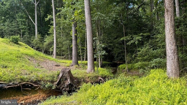 Building Photo - 10899 Woodland Falls Dr